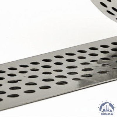 Скрепа для ленты НС-20-Т с зубьями C304 купить в Казахстане