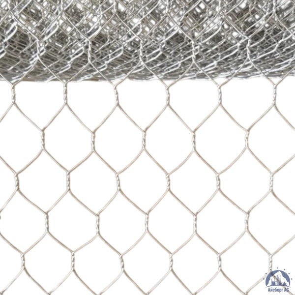 Сетка Манье