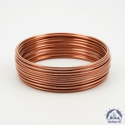 Проволока бронзовая 0.25 мм БрБ2 ГОСТ 15834-77 купить в Казахстане