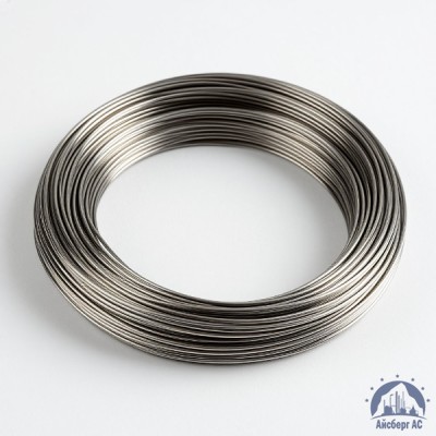 Проволока вольфрамовая 10,6 мкм ВМ купить в Казахстане