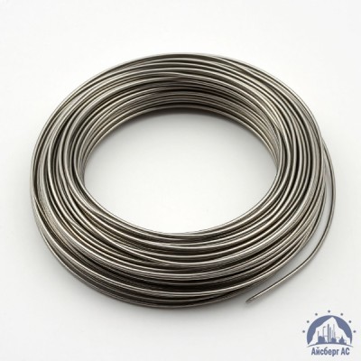 Проволока 0,03-Х20Н80-ВИ ГОСТ 8803-89 купить в Казахстане