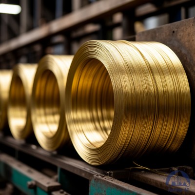 Проволока латунная 2 мм Л63 купить в Казахстане