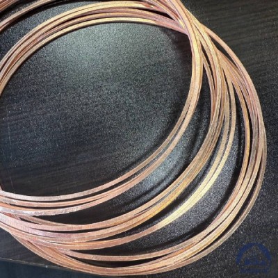 Прокладка медная уплотнительная 14х18-II s=1,5 ГОСТ 19752-84 купить в Казахстане