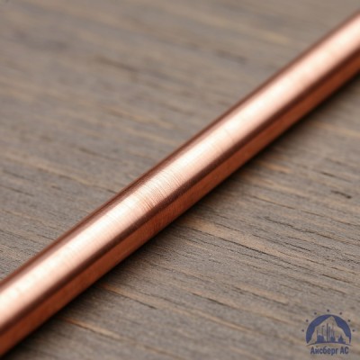 Пруток медный 10 мм М1 ГОСТ 1535-2006 купить в Казахстане