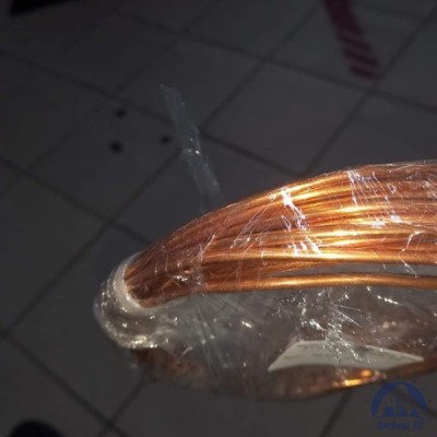 Труба М1 10х0,35 ТУ 48-0814-104-99 купить в Казахстане