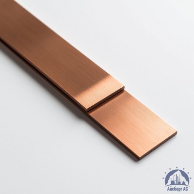 Полоса медная 100х10 мм М1Т ГОСТ 434-78 купить в Казахстане