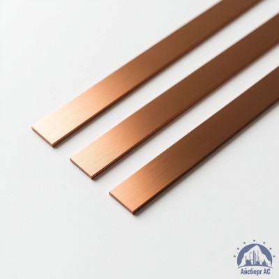 Полоса медная 100х10 мм ШМТ ГОСТ 434-78 купить в Казахстане