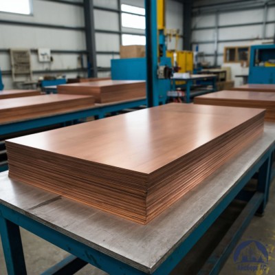 Плита бронзовая 12х600х1500 мм БРХЦР купить в Казахстане