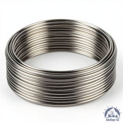 Проволока иридиевая 0,14 мм И 99,8 ГОСТ 19351-2006 купить в Казахстане