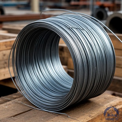 Проволока   1-1-25 ГОСТ 5663-79 купить в Казахстане