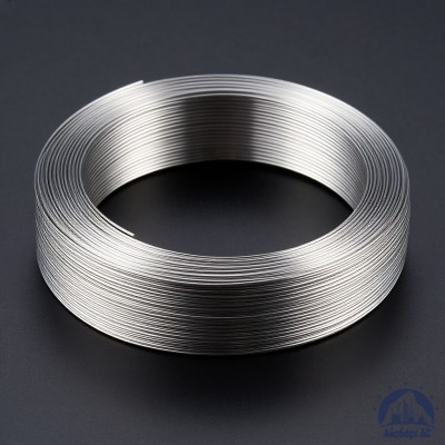 Проволока титановая 0,8 мм ВТ20-2СВ ГОСТ 27265-87 купить в Казахстане