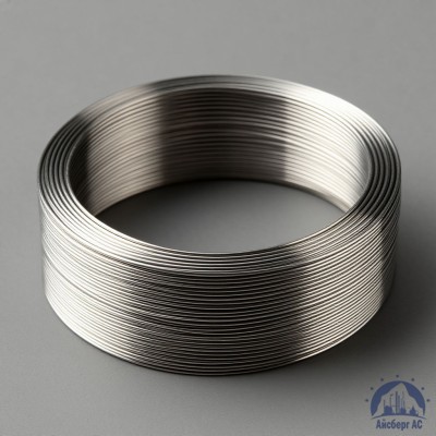 Проволока титановая 1,5 мм ВТ2 купить в Казахстане