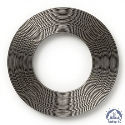 Проволока титановая 2 мм 7М купить в Казахстане