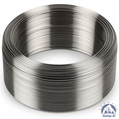 Проволока титановая 3 мм СПТ2 купить в Казахстане