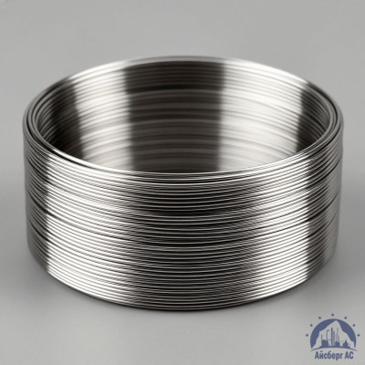 Проволока титановая 4 мм 2В купить в Казахстане