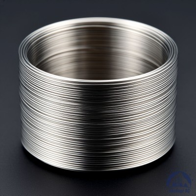 Проволока титановая 6 мм 2В купить в Казахстане