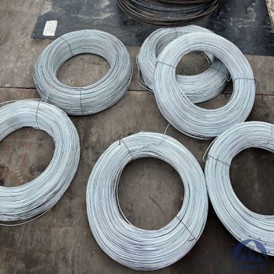 Проволока 0,3-Х15Н60 ГОСТ 8803-89 купить в Казахстане