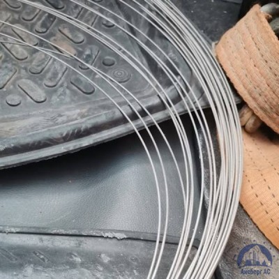 Проволока 0,3-Х20Н80-ВИ ГОСТ 8803-89 купить в Казахстане