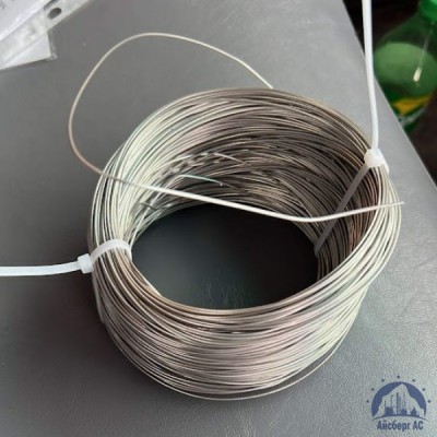 Проволока 0,25-Х15Н60 ГОСТ 8803-89 купить в Казахстане