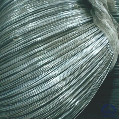 Проволока 0,2-Х20Н80-ВИ ГОСТ 8803-89 купить в Казахстане