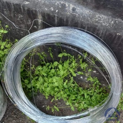 Проволока 0,34-Х20Н80-ВИ ГОСТ 8803-89 купить в Казахстане