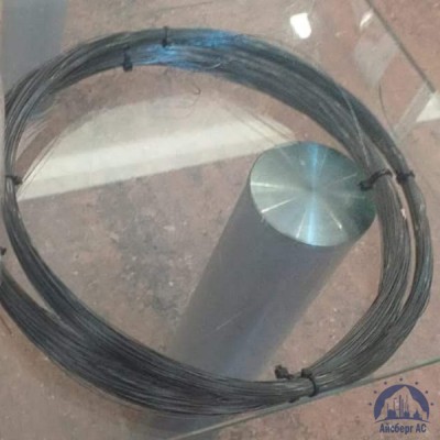 Проволока 0,32-20пс ГОСТ 17305-91 купить в Казахстане