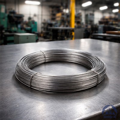 Проволока   3-1-10кп ГОСТ 5663-79 купить в Казахстане